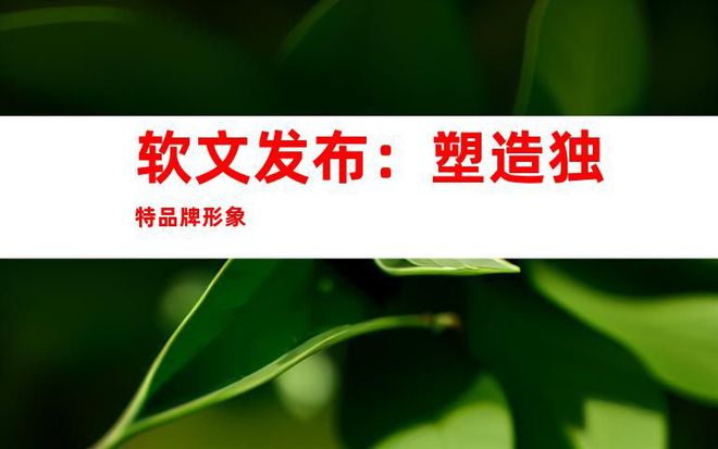 媒體網(wǎng)站推廣、軟文發(fā)布、網(wǎng)絡宣傳：文章全新的媒體發(fā)布渠道！