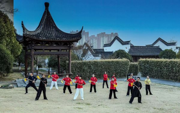 全國行云劍術(shù)推廣班(第五期)圓滿結(jié)業(yè)·蛇年傳承啟新程(圖2)