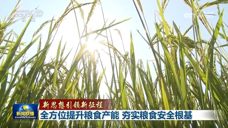 【新思想引領(lǐng)新征程】全方位提升糧食產(chǎn)能 夯實(shí)糧食安全根基(圖3)